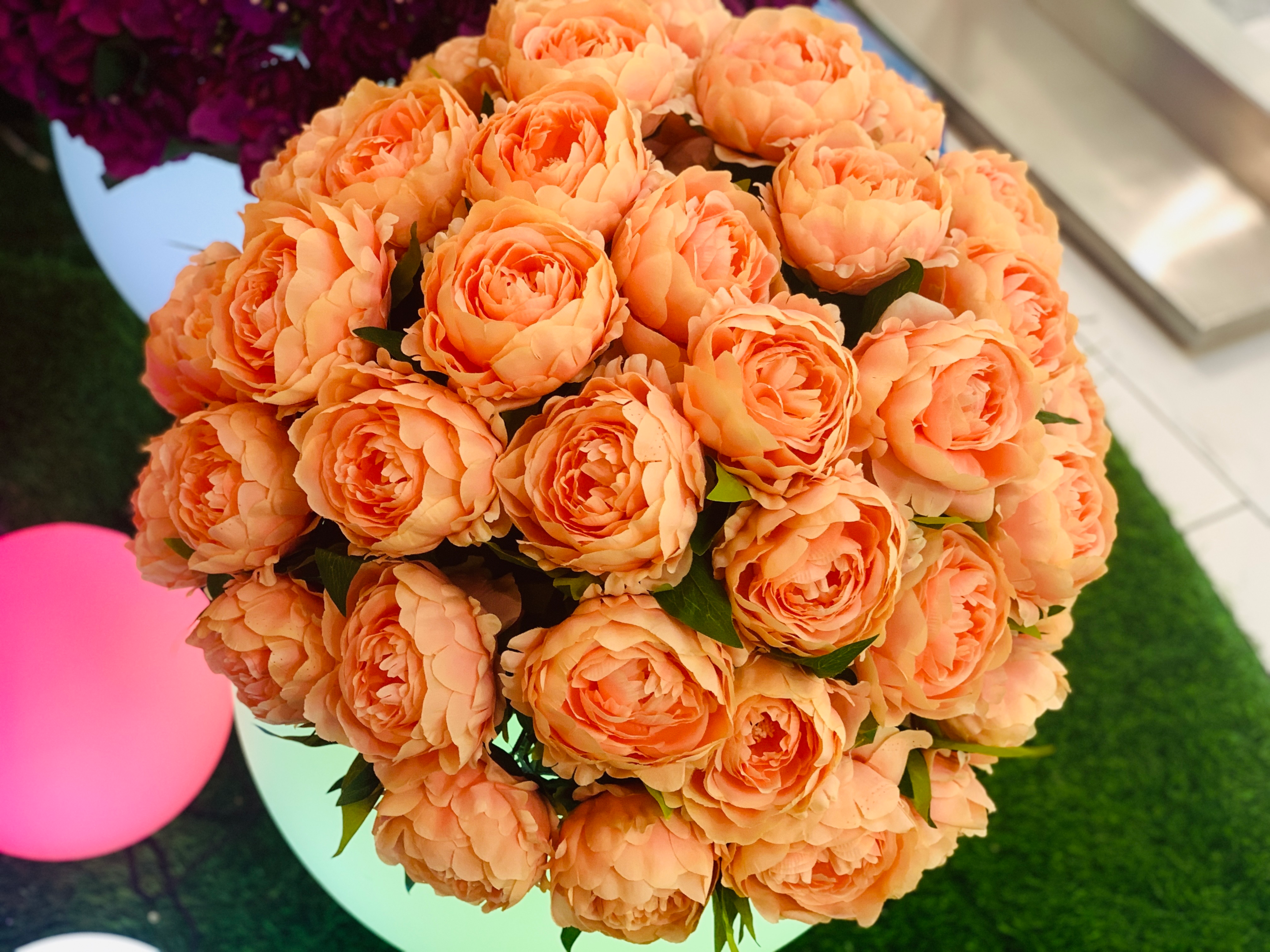 Découvrez la Signification des couleurs de roses 6 rose