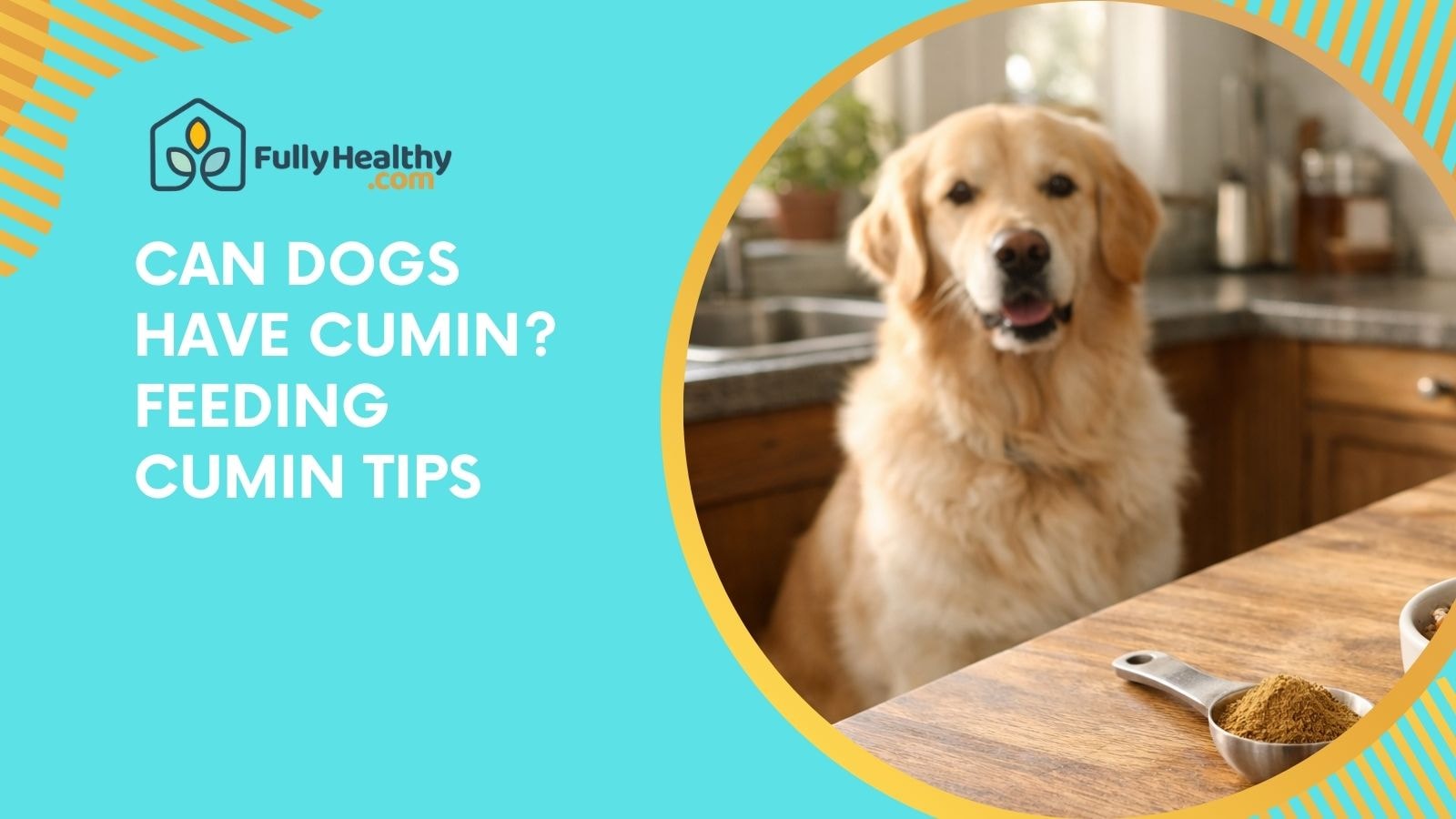 Can Dogs Have Cumin? Feeding Cumin Tips