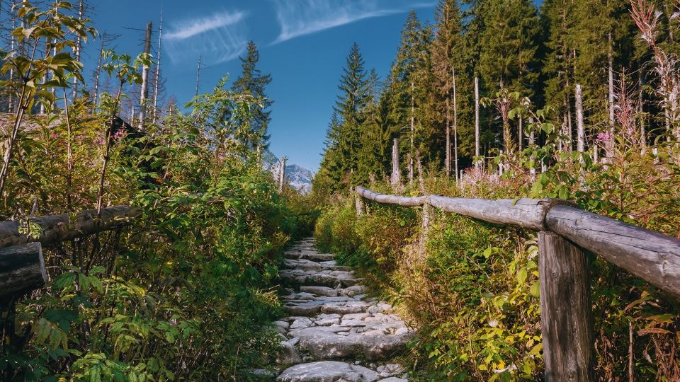 Tatrzański Park Narodowy szlaki / fot. Canva.com