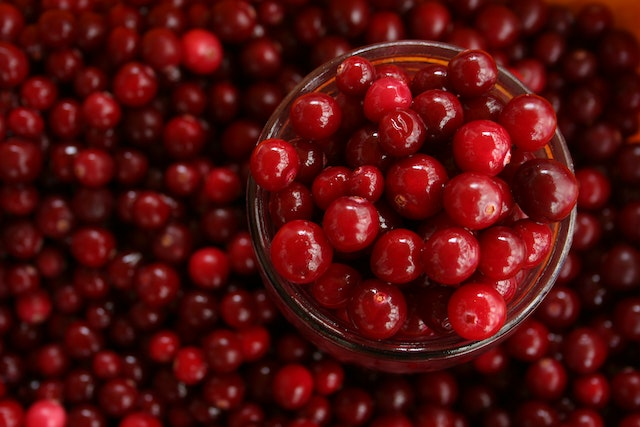 cranberries are excellent for uti prevention