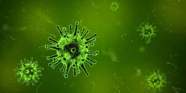 A graphical image of a virus. 