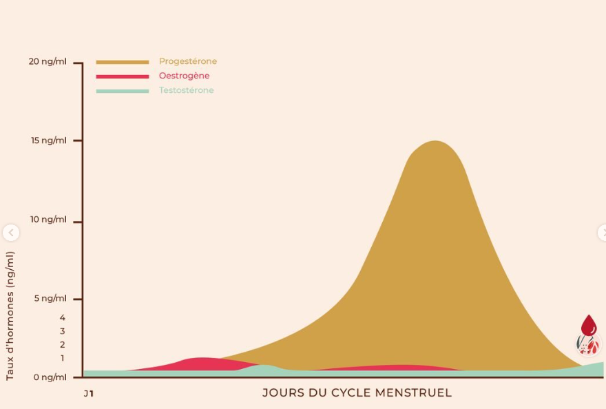hormones féminines cycle menstruel classique