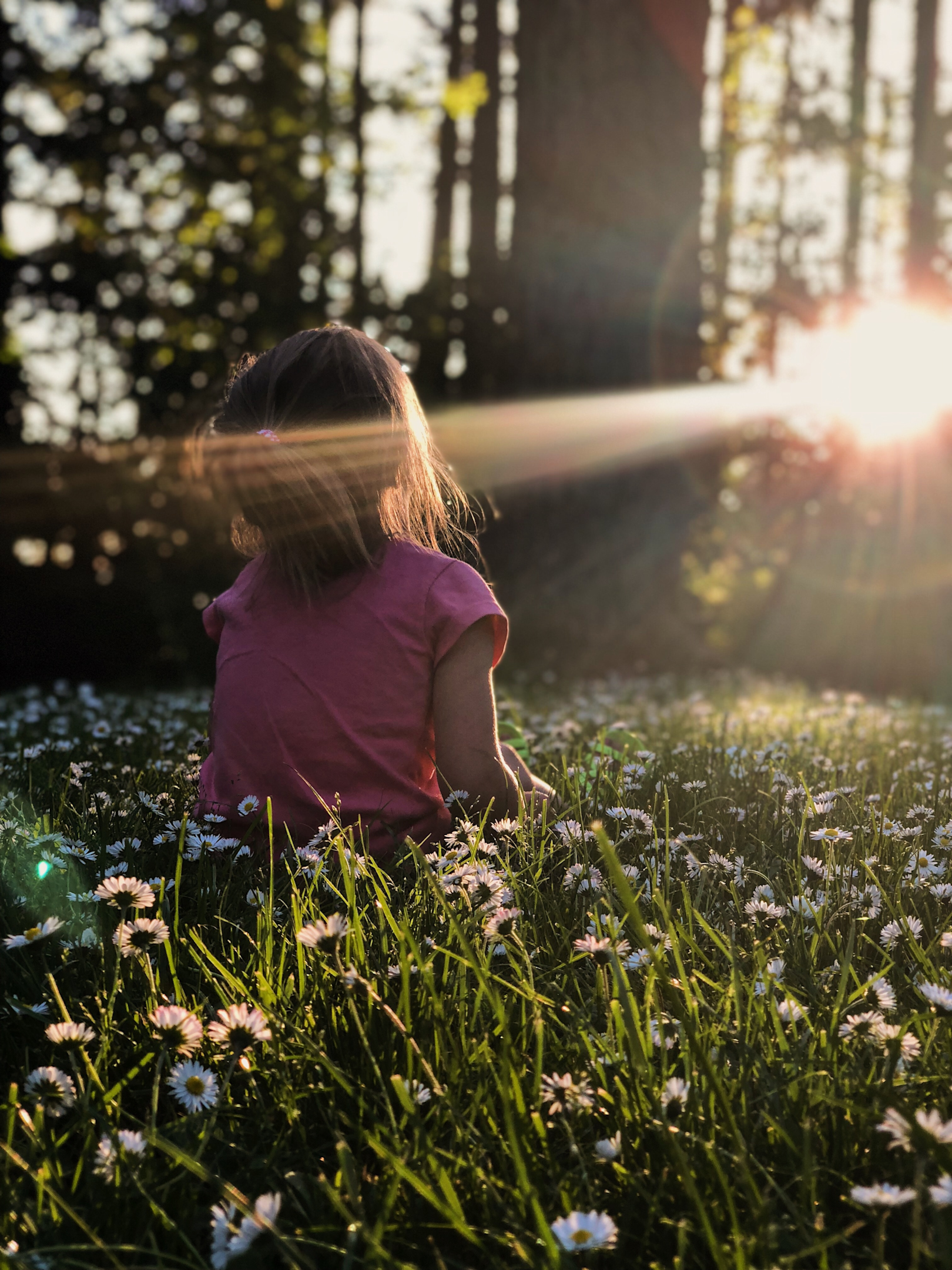 a child sitting in a meadow with wild flowers and the sunlight shining on her through the trees