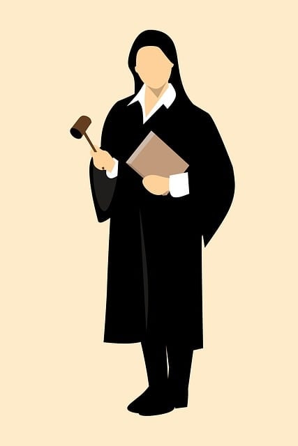 judge, lawyer, attorney, barrister, court, criminal, evidence, female, gown, beautiful, book, career, case, confident, crime, enforcement, gavel, guilty, hearing, holding, innocence, innocent, isolated, judgment, law, lawsuit, legal, legality, litigation, mallet, profession, professional, proof, punish, punishment, right, standing, sue, symbols, woman, lawyer, lawyer, lawyer, lawyer, lawyer