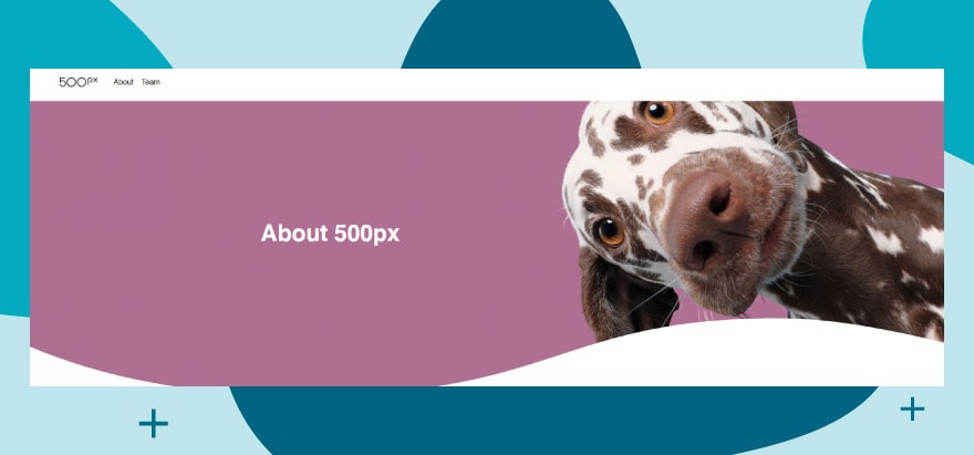 The 500px website.