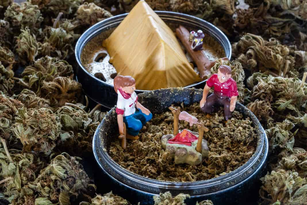 Camping with Cannabis: A Comprehensive Guide - Cannabismo