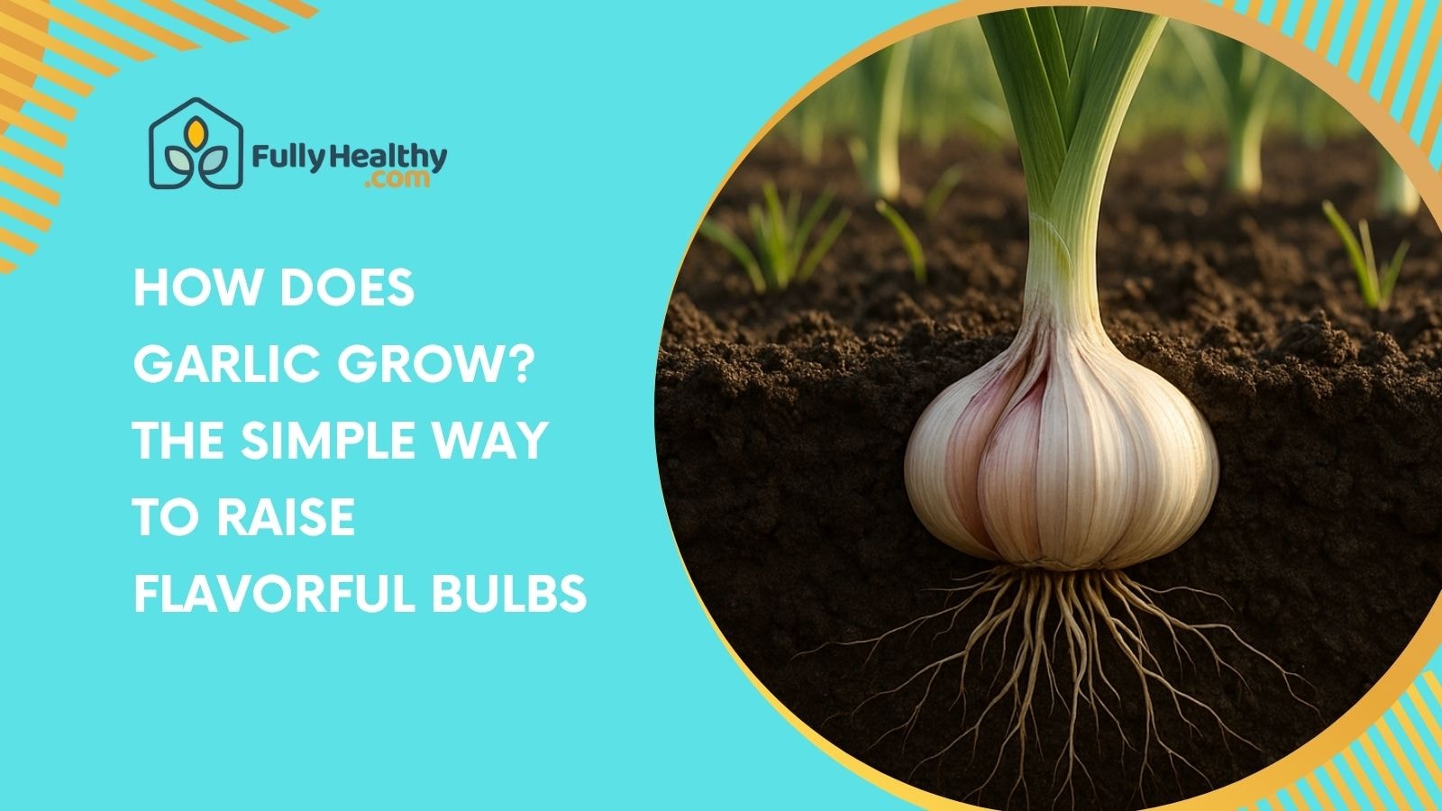How Does Garlic Grow? The Simple Way to Raise Flavorful Bulbs