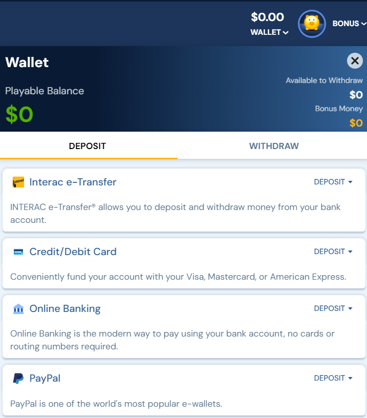 Screenshot view of BetRivers Ontario wallet showing deposit and withdrawal payment options.