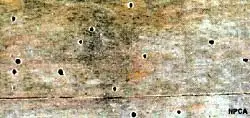 An image of powderpost beetle damage on old wood. 