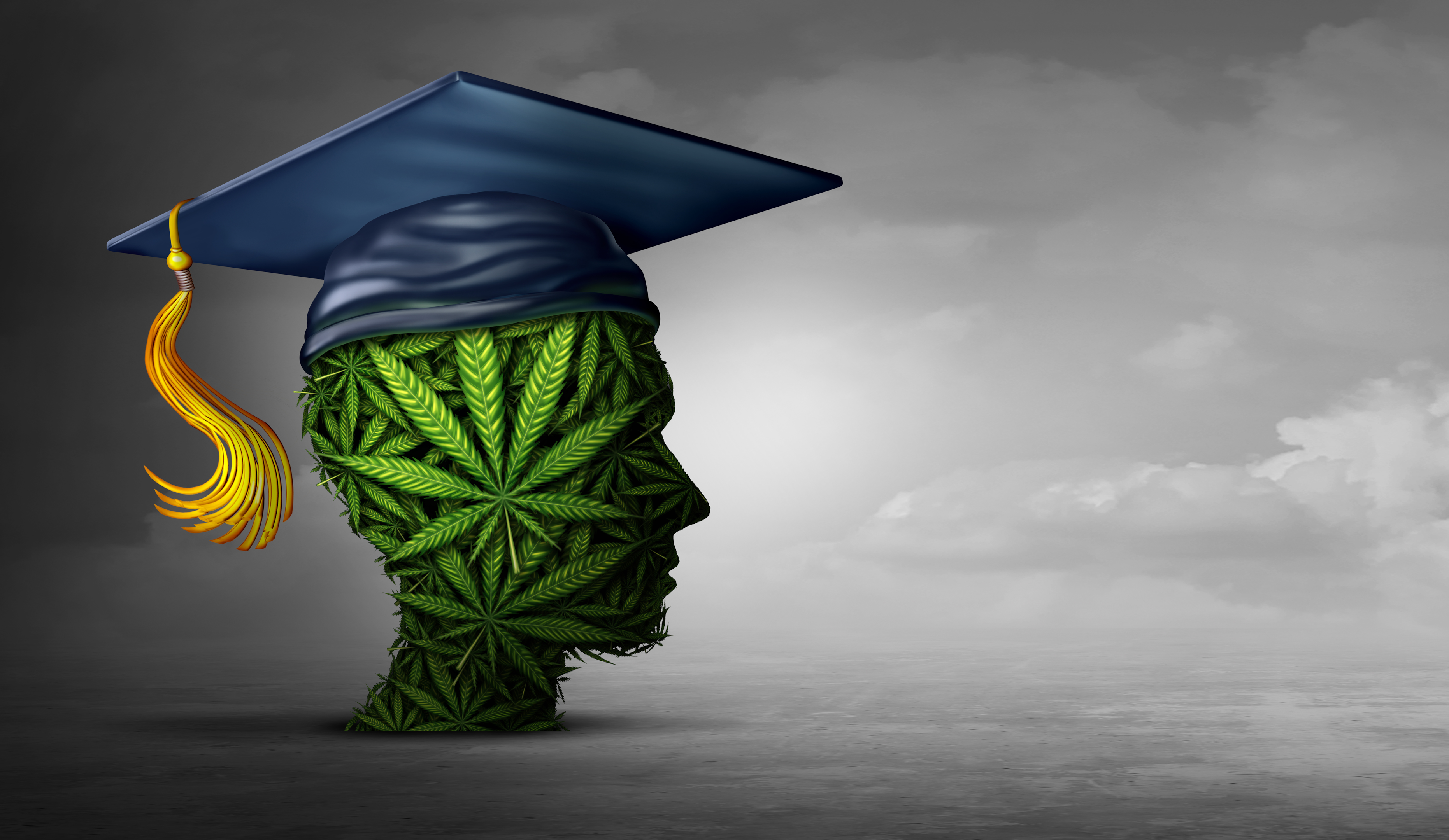 The Cleveland School of Cannabis (CSC) today has achieved huge milestones for not only Ohio, but the country. Offering a student an actual course and full program on cannabis and being able to give them the knowledge, this program is expected to go nowhere but up.