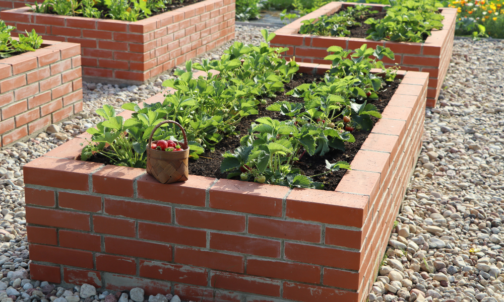 Brick Raised Garden Bed