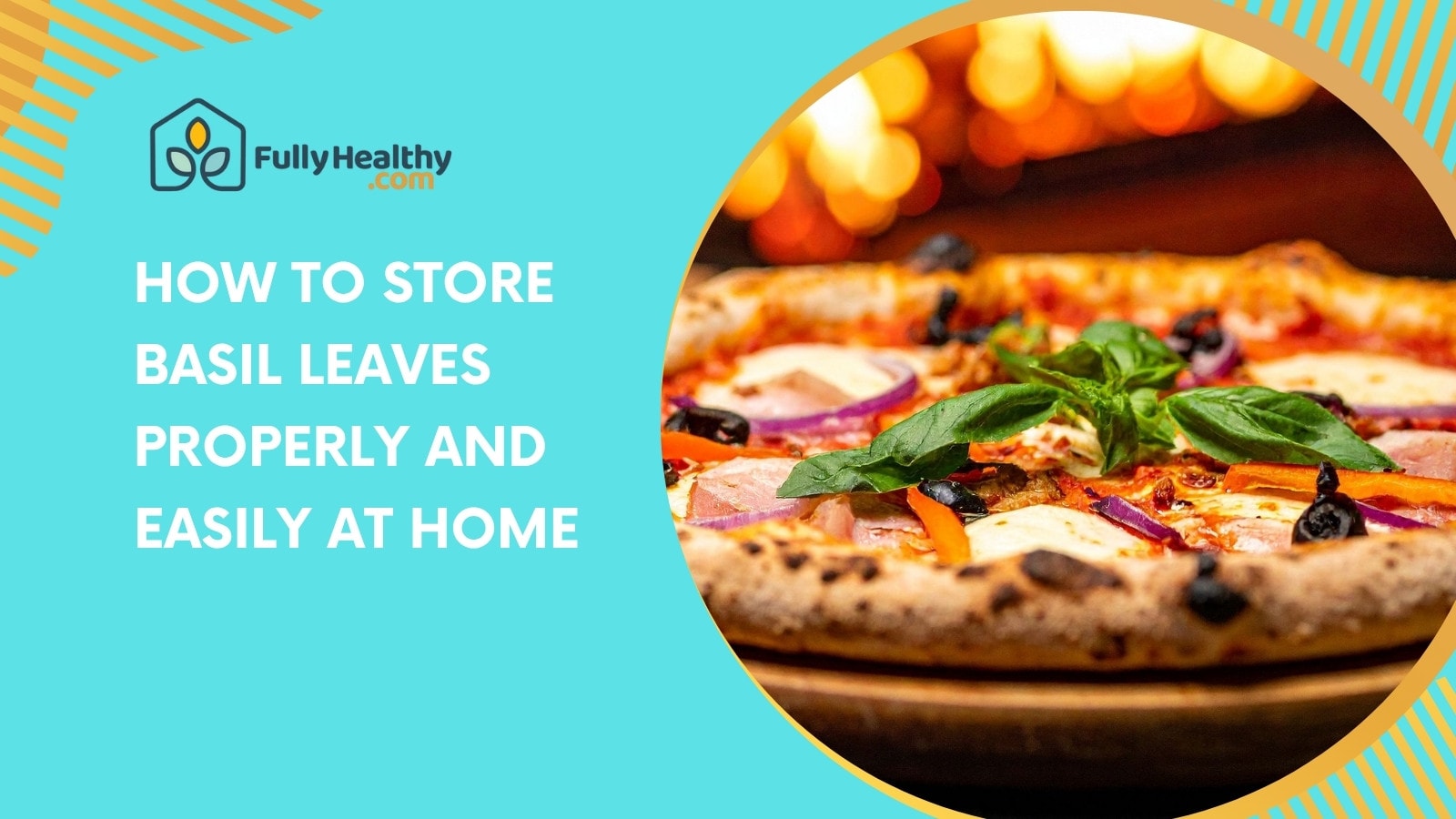 How to Store Basil Leaves Properly and Easily at Home