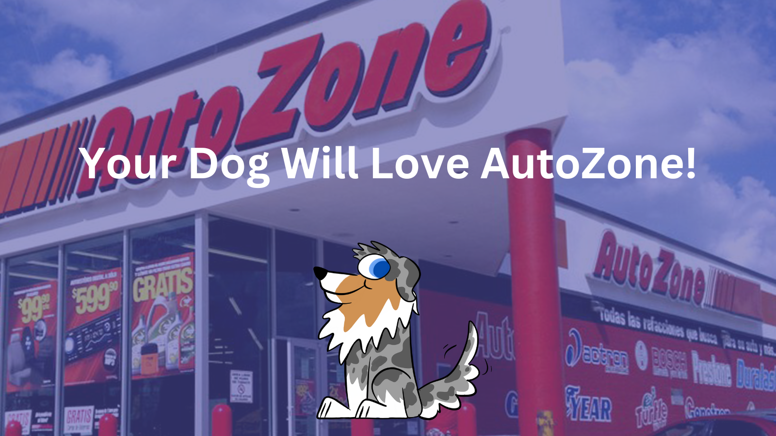 AutoZone pet stores are allowed