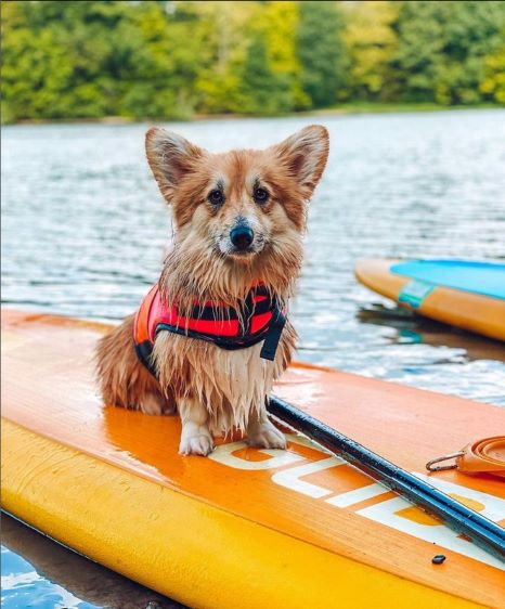 standup paddle boarding,sit in kayaks, kayak paddling,hard shell kayaks, recreational kayaks.