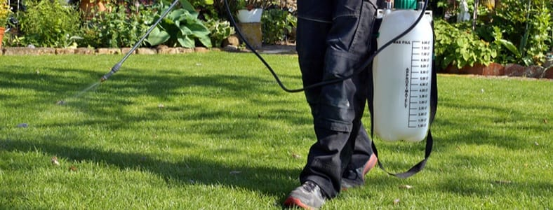 An image of a person spraying their lawn with mosquito repellent.