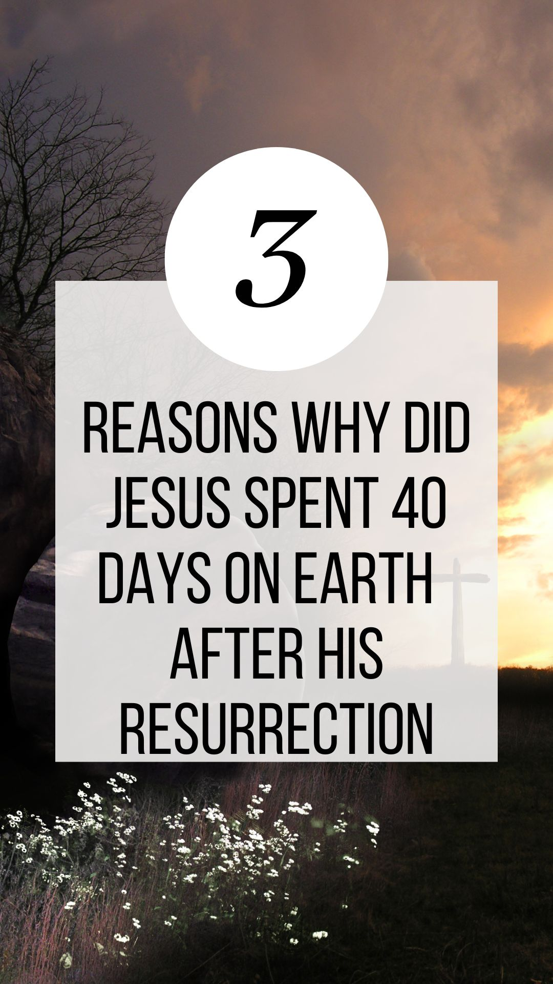 3 ReasonJesus Stayed On Earth After His Resurrection 