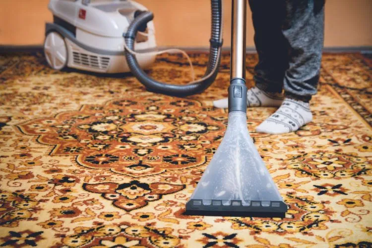 Close-up of a person using an extraction carpet cleaning machine on a patterned area rug, with water visibly inside the transparent nozzle. The person is wearing cozy socks and sweatpants, and a white vacuum-like machine is seen in the background.