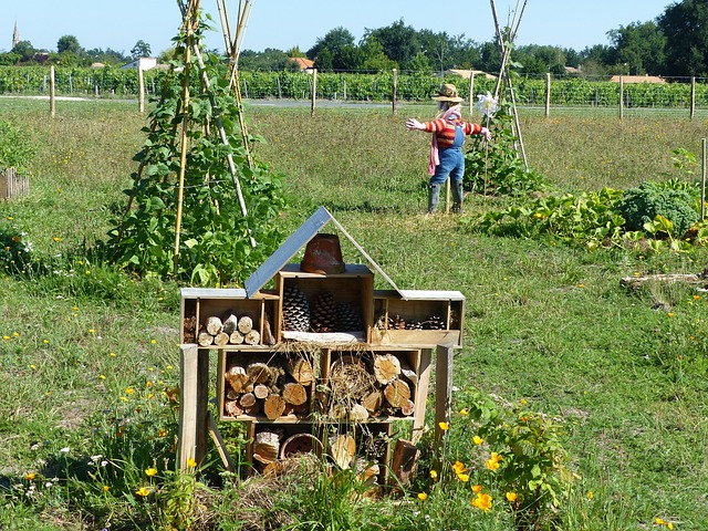 Adult growing permaculture garden