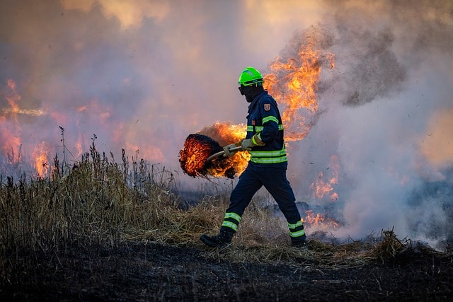 fire, field, firefighter