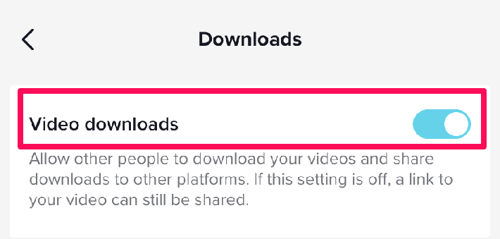 Image showing the toggle button for enabling and disabling downloads