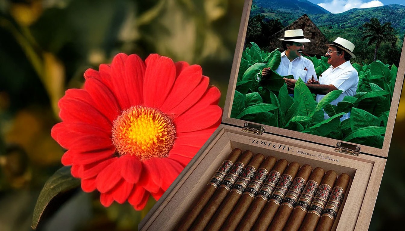 Arturo Fuente OpusX Lost City Carlito's A - Best for Collectors