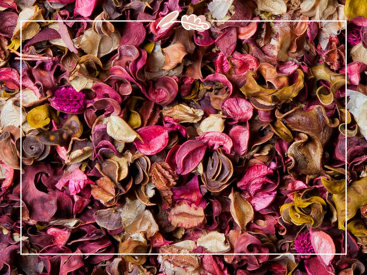 A vibrant assortment of dried flower petals in shades of pink, purple, and brown, creating a rich tapestry of colors. Fabulous Flowers and Gifts.