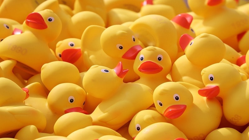 Rubber Duck 