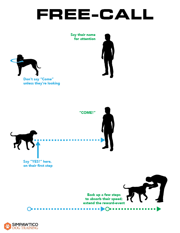 Illustration of the Free-Call drill illustration, the first Come exercise with your dog