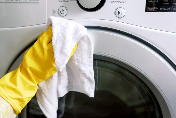 Clean the exterior of the dryer and dryer door with a damp cloth dipped in mild dish soap and warm water