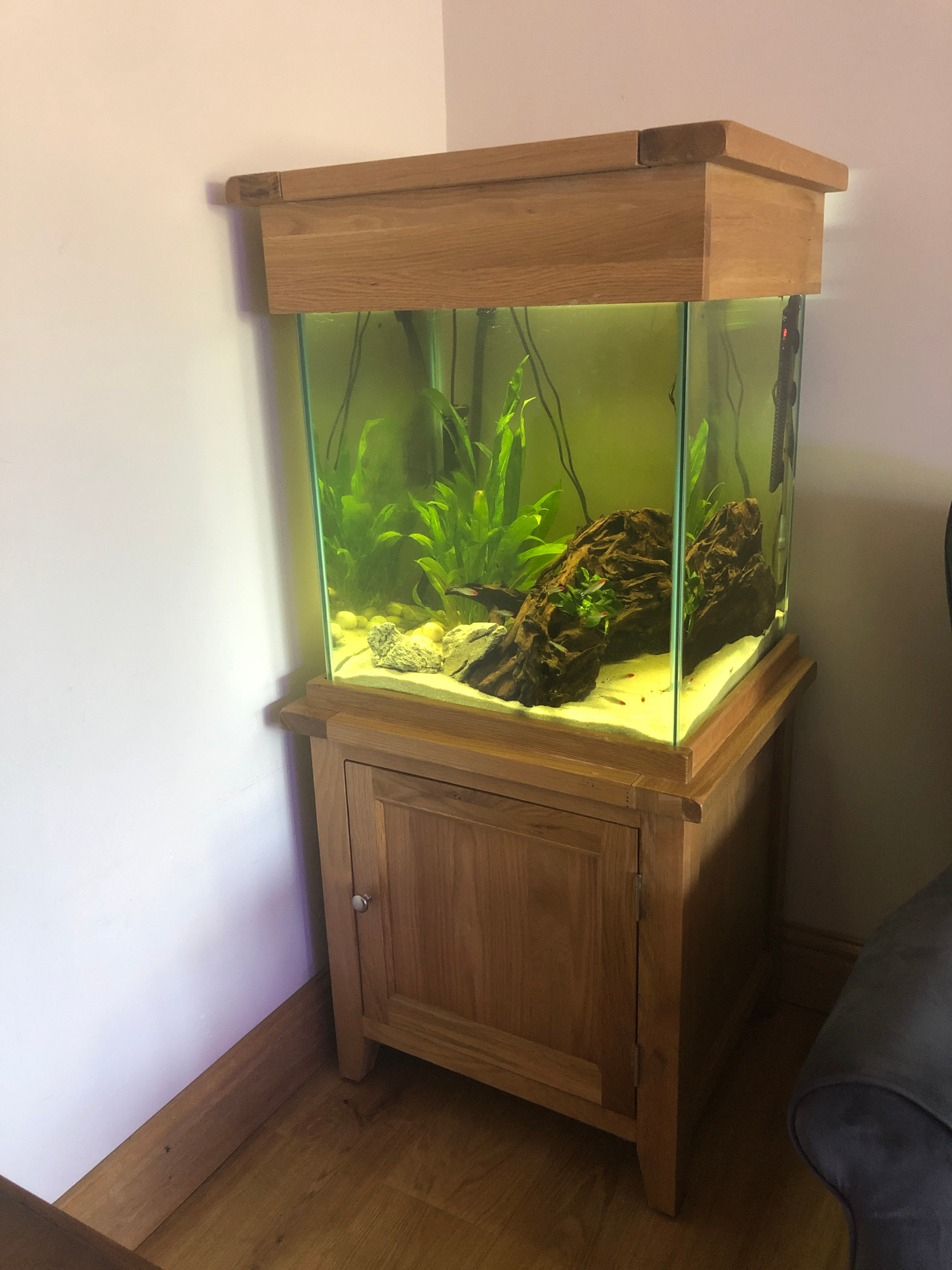 An aquarium as a furniture