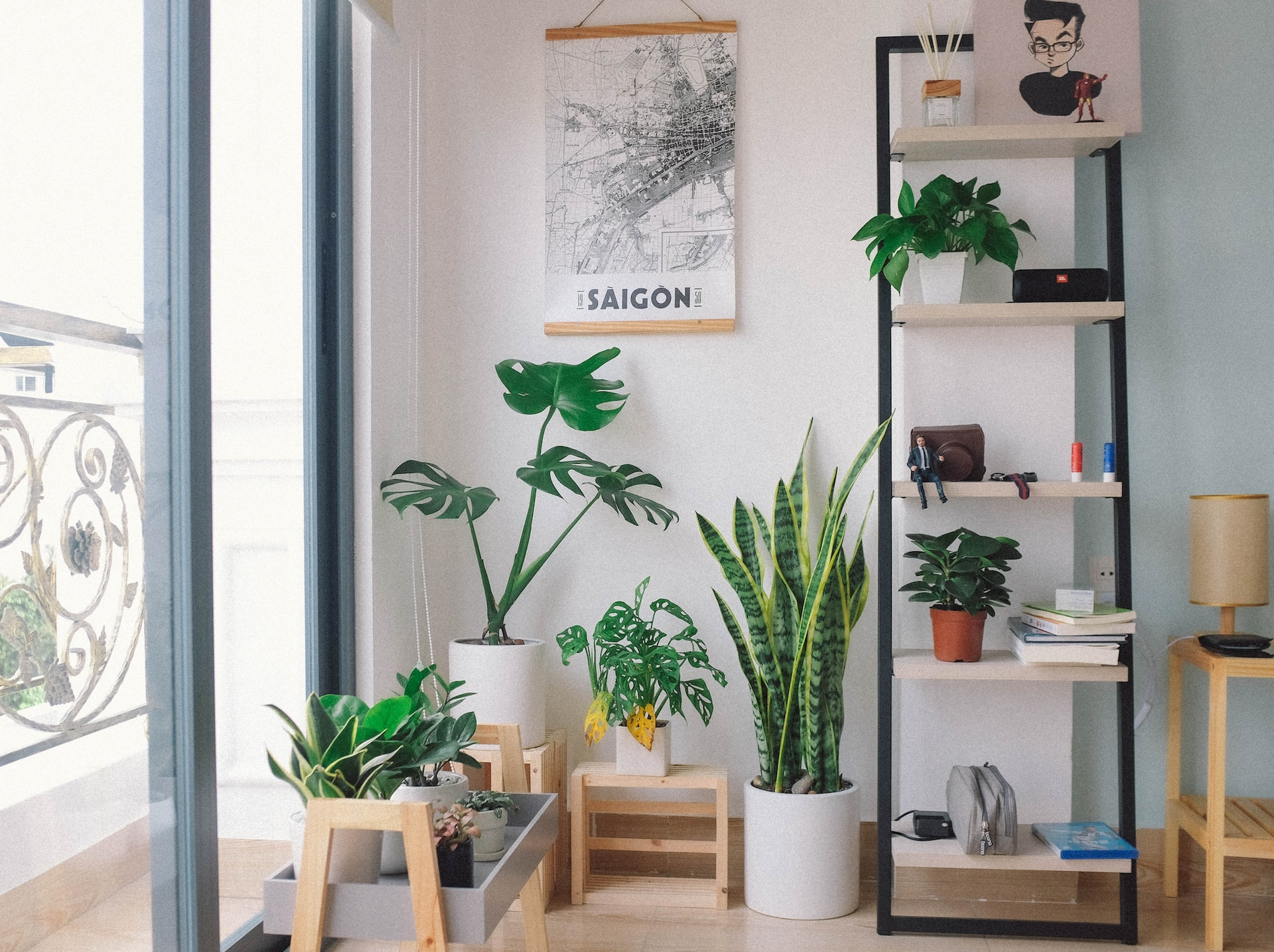 What is the Best Plant for Indoor Gardening?
