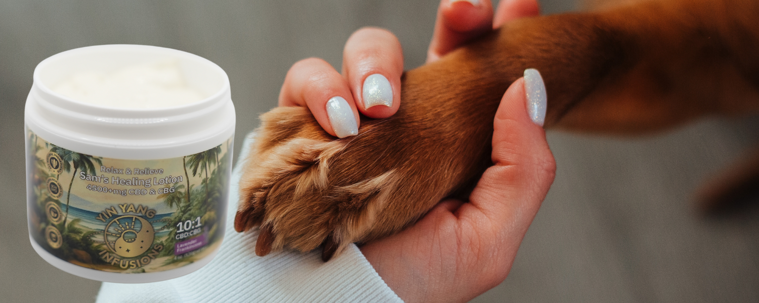 An owner applying CBG lotion to her dogs' paw