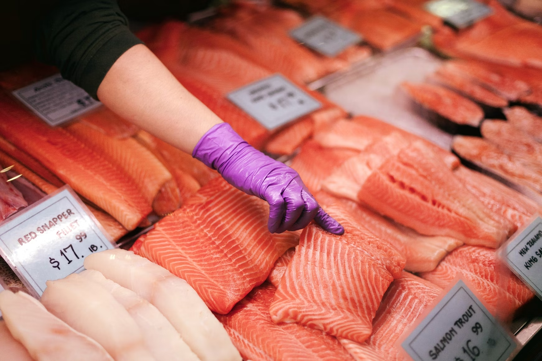 The Different Types of Salmon