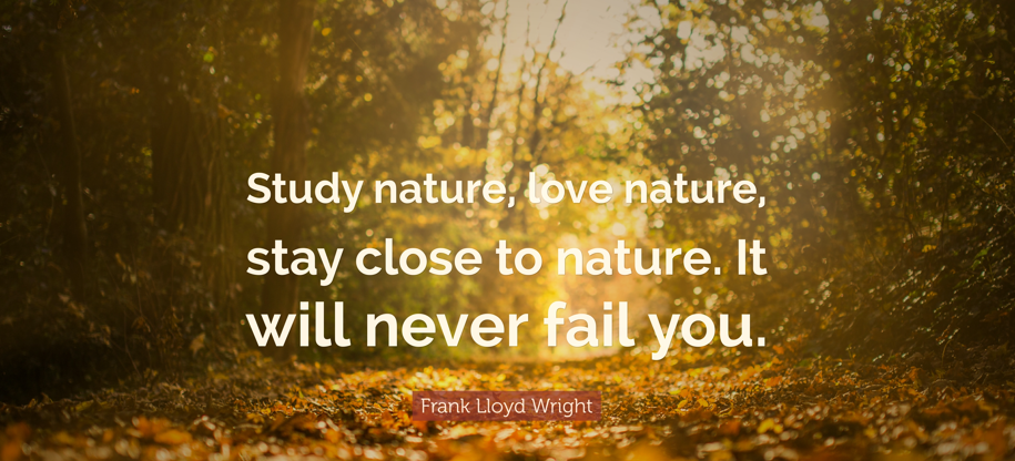 Study nature, love nature, and stay close to nature. It will never fail you; Frank Lloyd Wright: