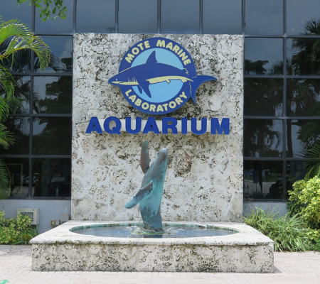 Mote Marine Laboratory Aquarium