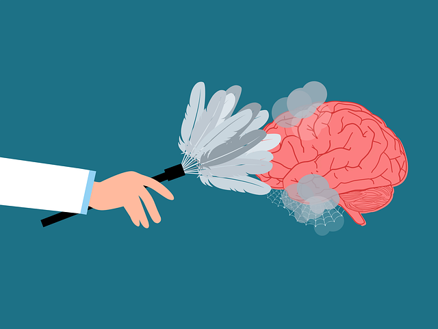 brain, mind, clear