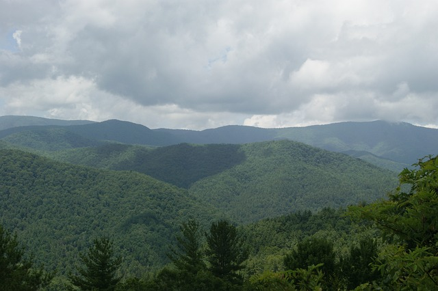 Ramsey cascades, great smoky mountains, green