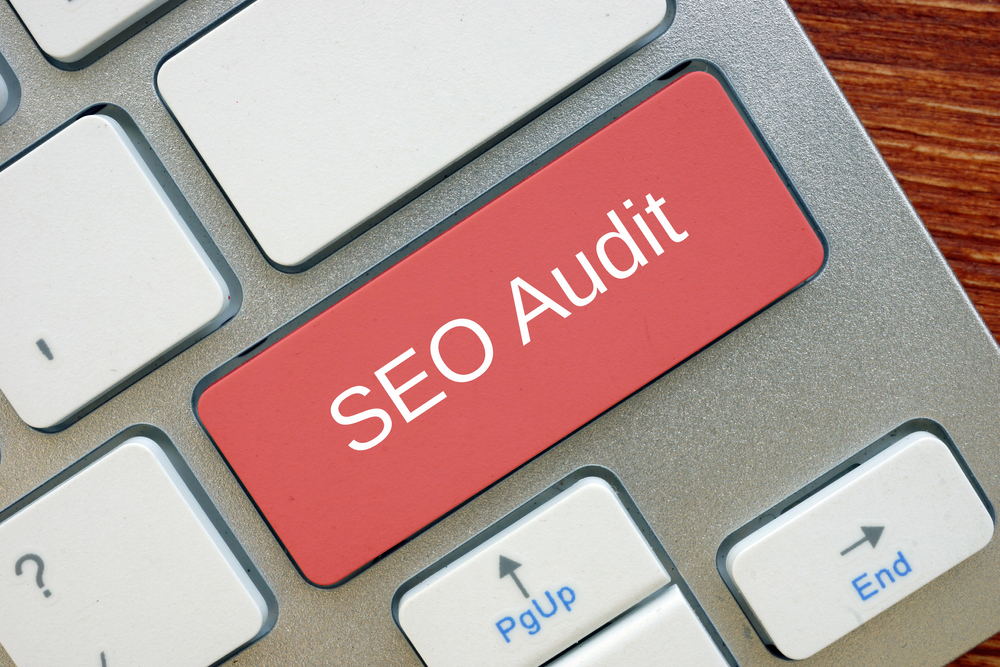 Seo Audit Consultant