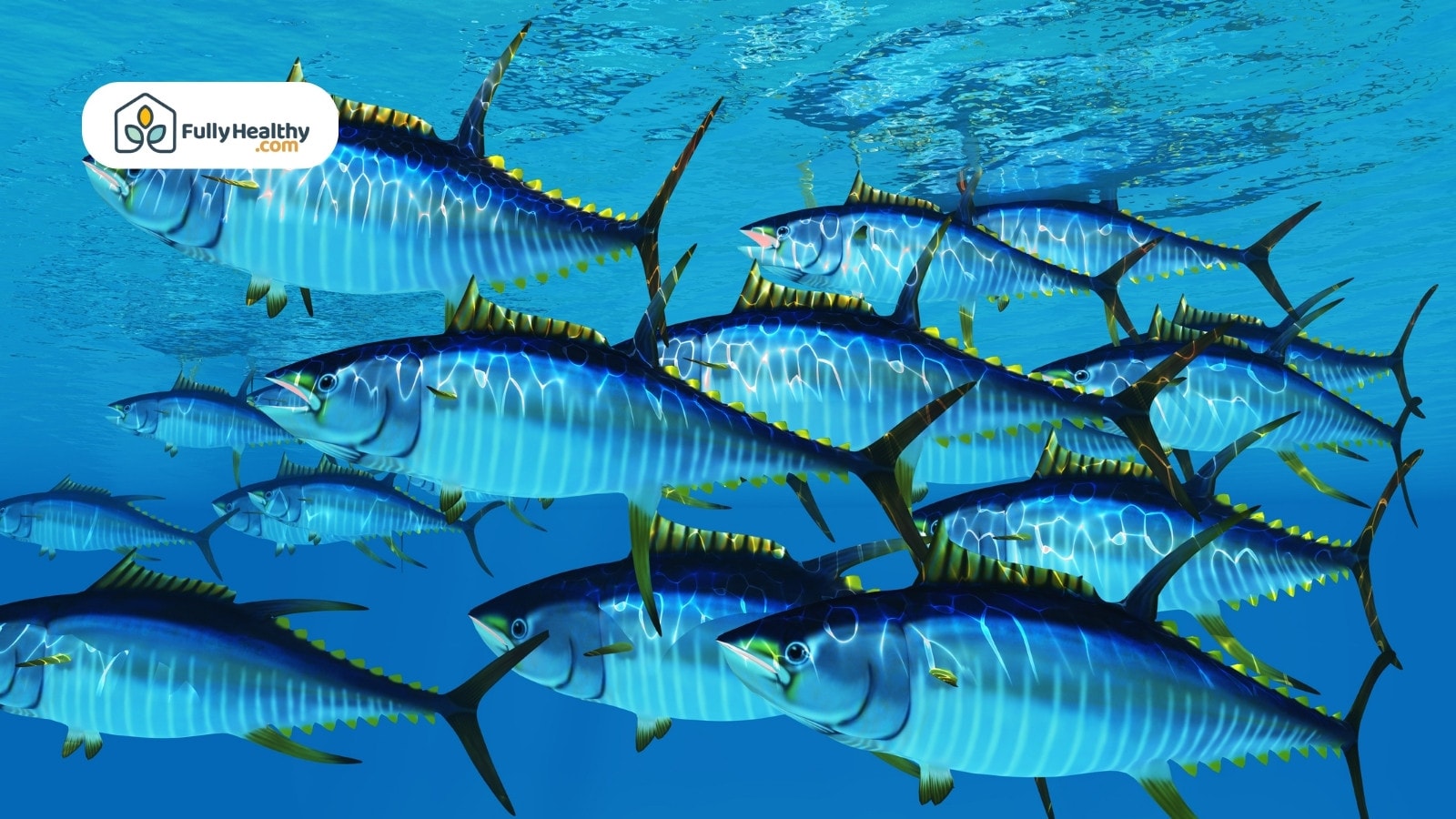 School of yellowfin tuna swimming underwater in clear blue ocean