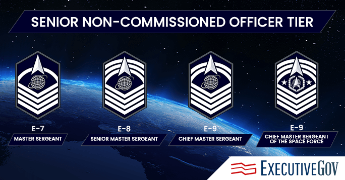 senior noncommissioned officers, senior ncos