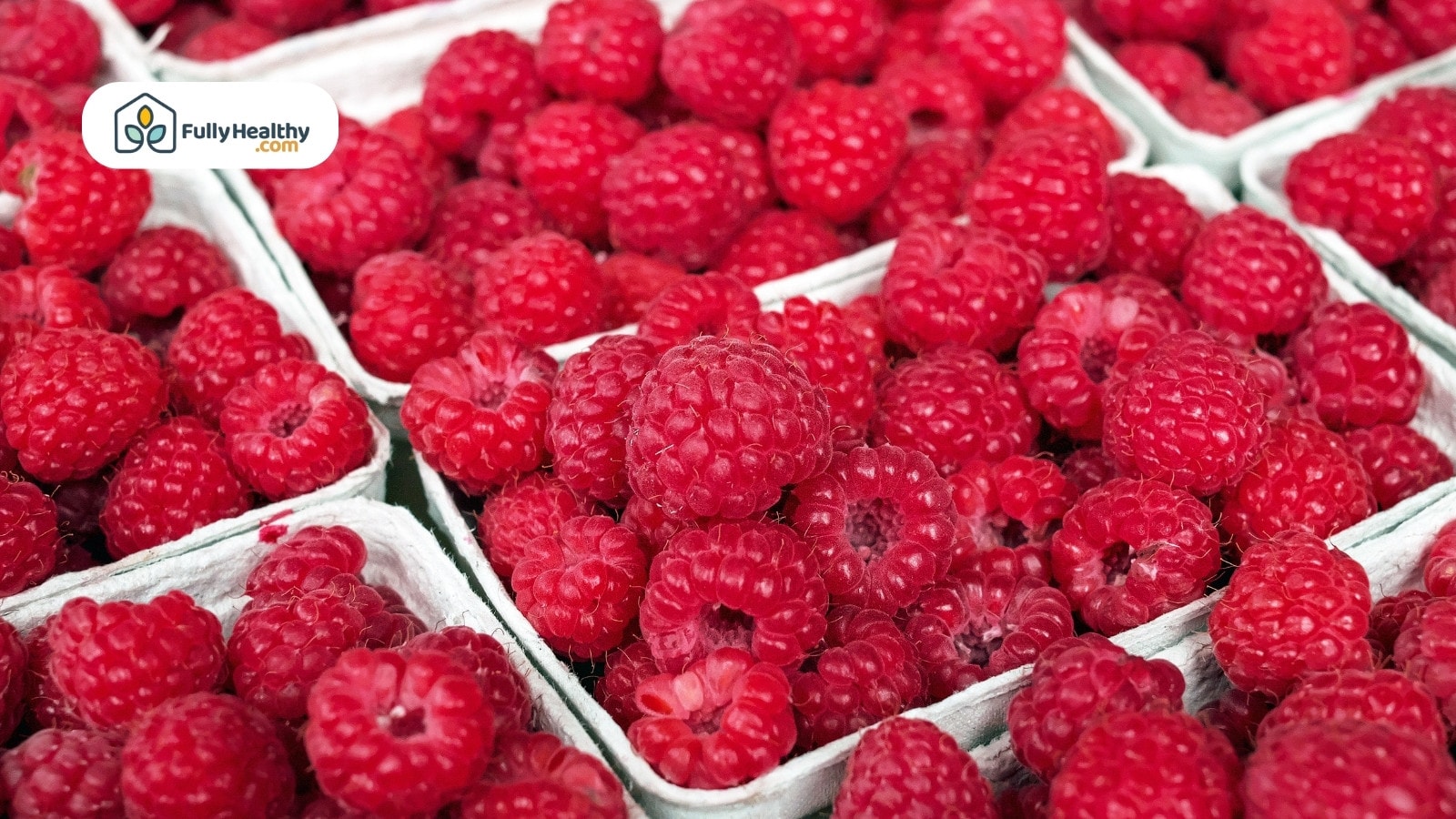 Cartons filled with fresh ripe raspberries at local farmers market