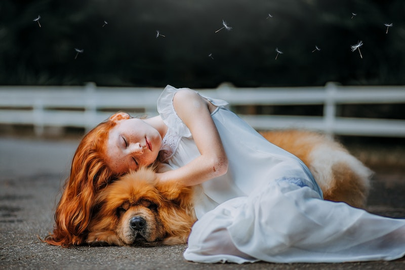 Ultimate Guide To Meditation For Sleep: Young girl sleep beside a dog