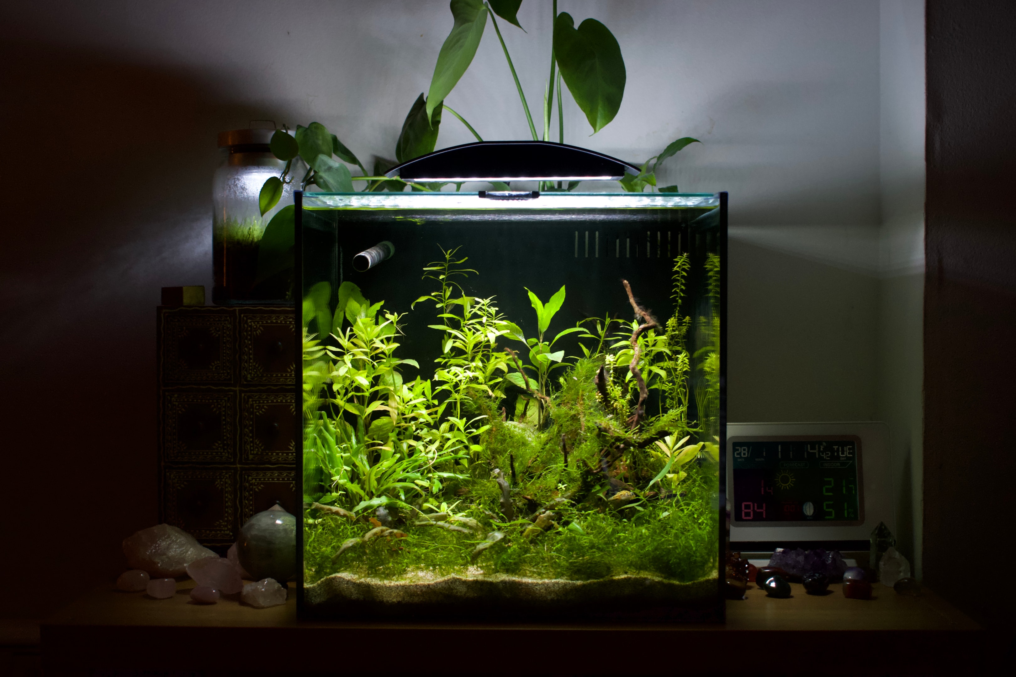 Build a stable rythym