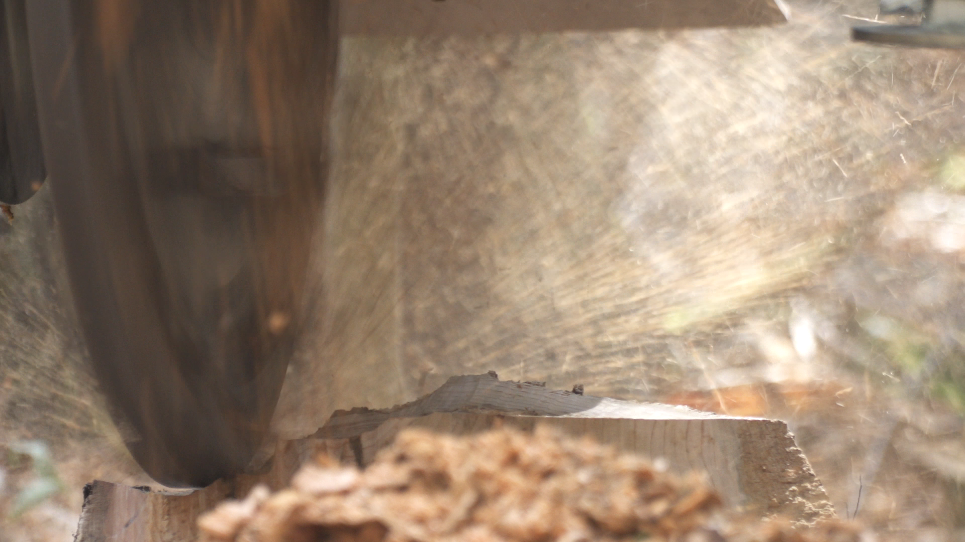 A stump grinding wheel removing a tree stump.