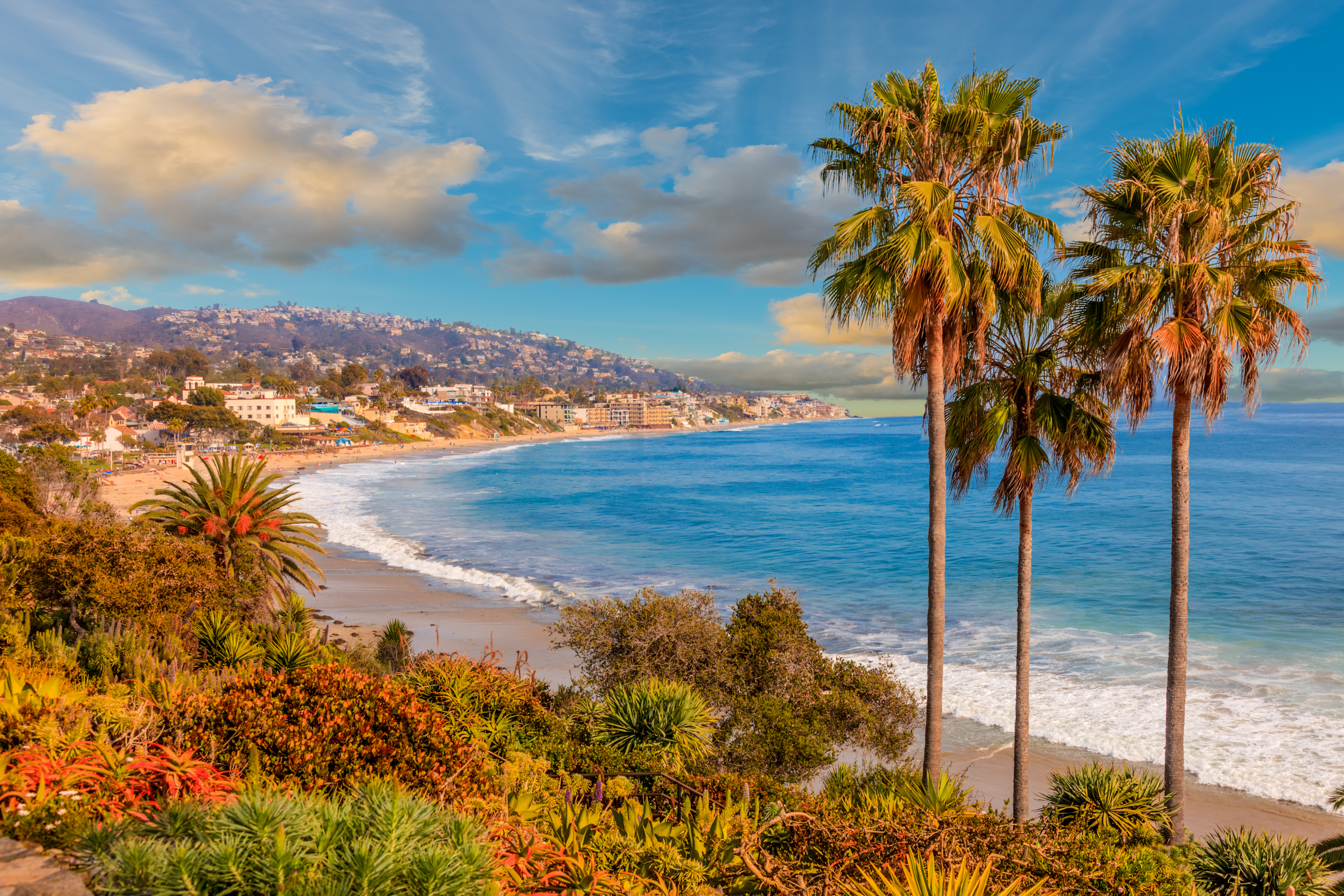 Palm trees and a scenic beach with waves rolling in