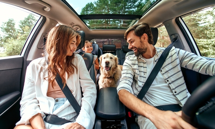 Vacation rental owners on a roadtrip, in a car with a dog