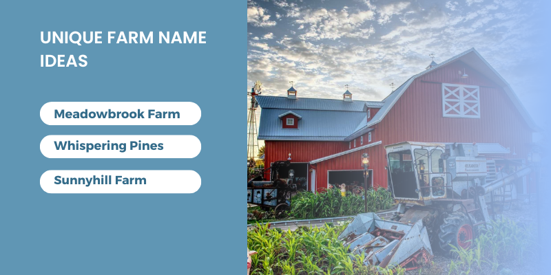 Unique Farm Name Ideas
