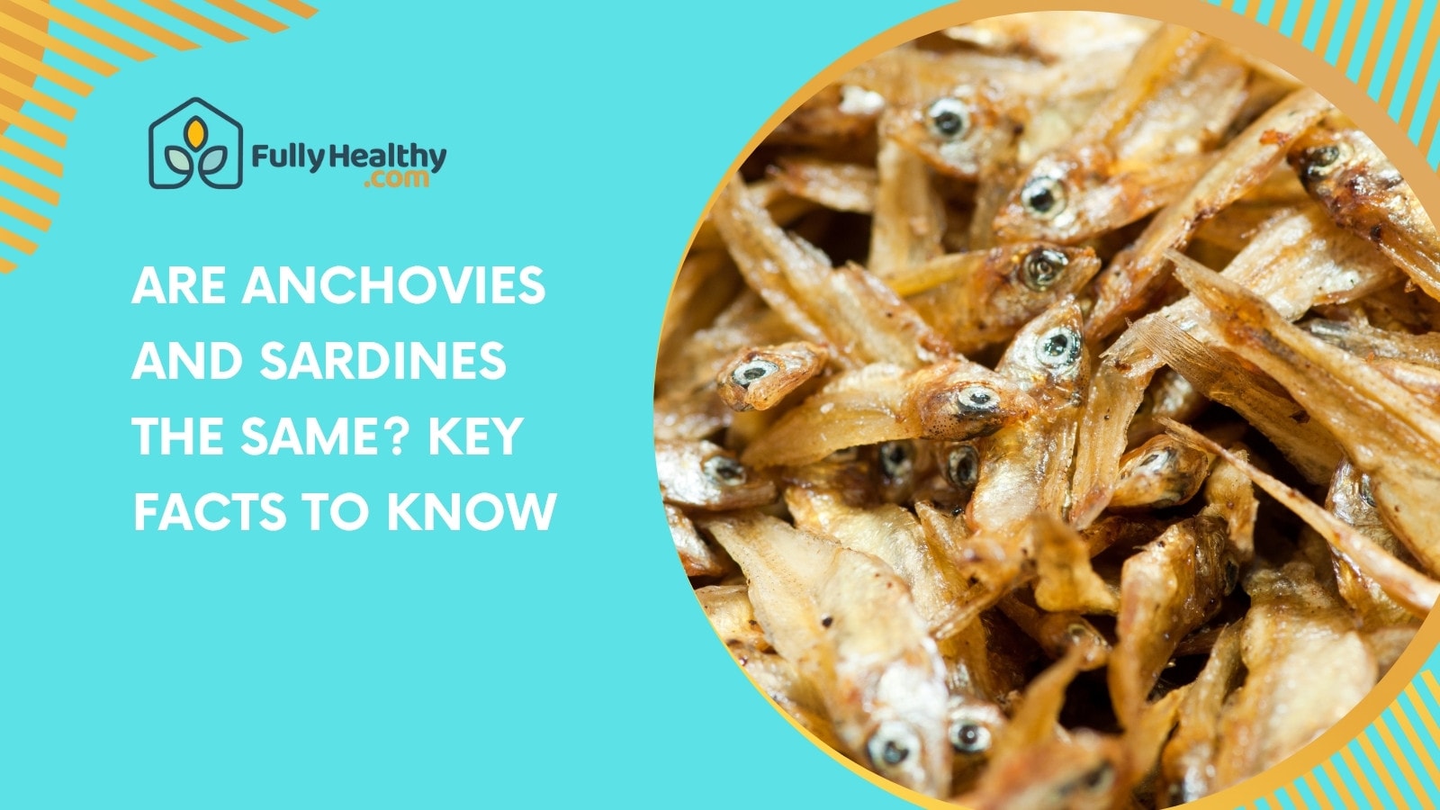 Are Anchovies and Sardines the Same? Key Facts to Know