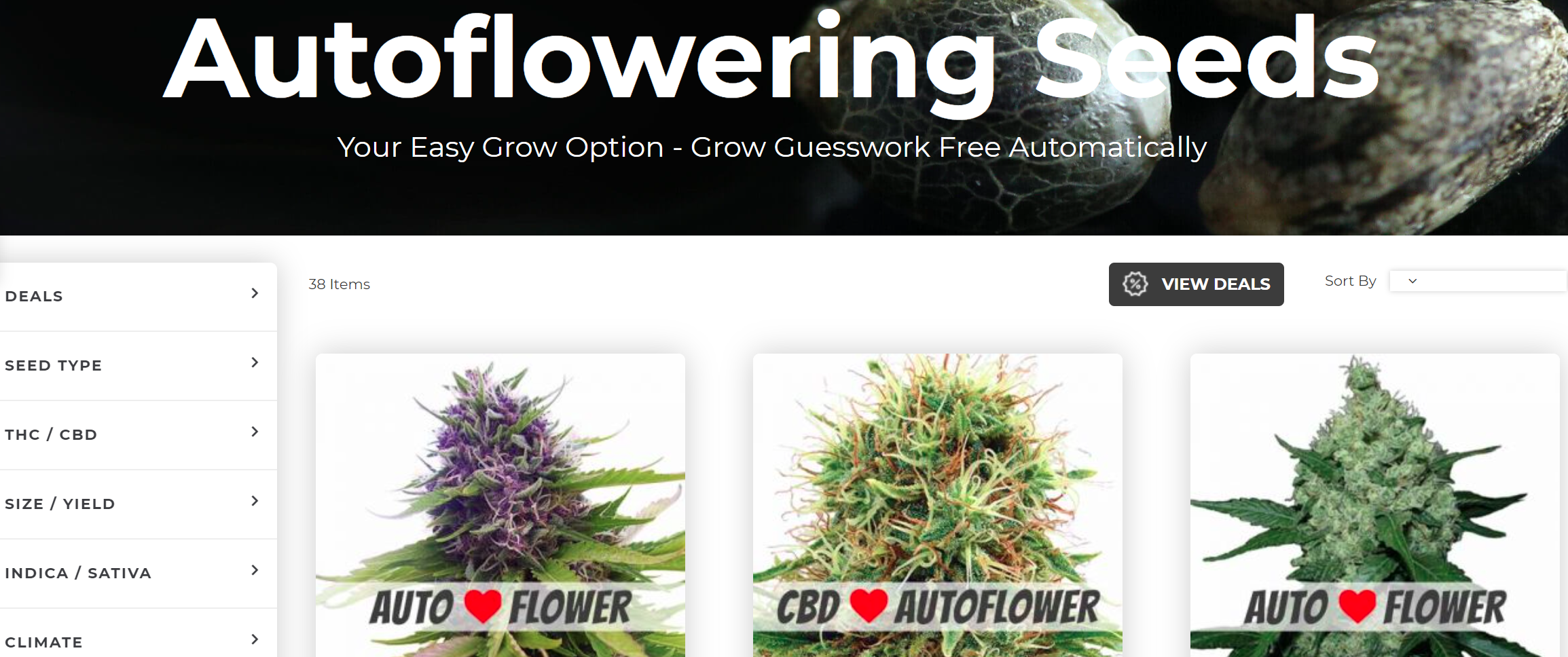 Ilgm Seeds Review: Is It A Legitimate Seed Bank? Ilgm Autoflower Seeds
