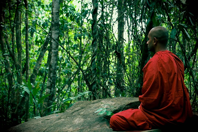 Forest Monk Meditation